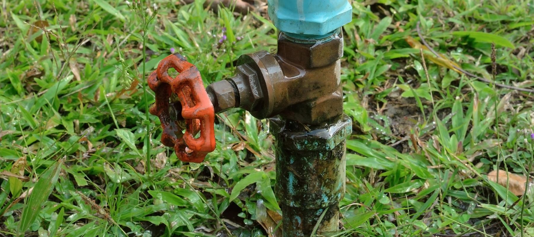 close up of water spigot with red handle in a yard